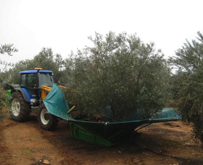 Productos Agricolas